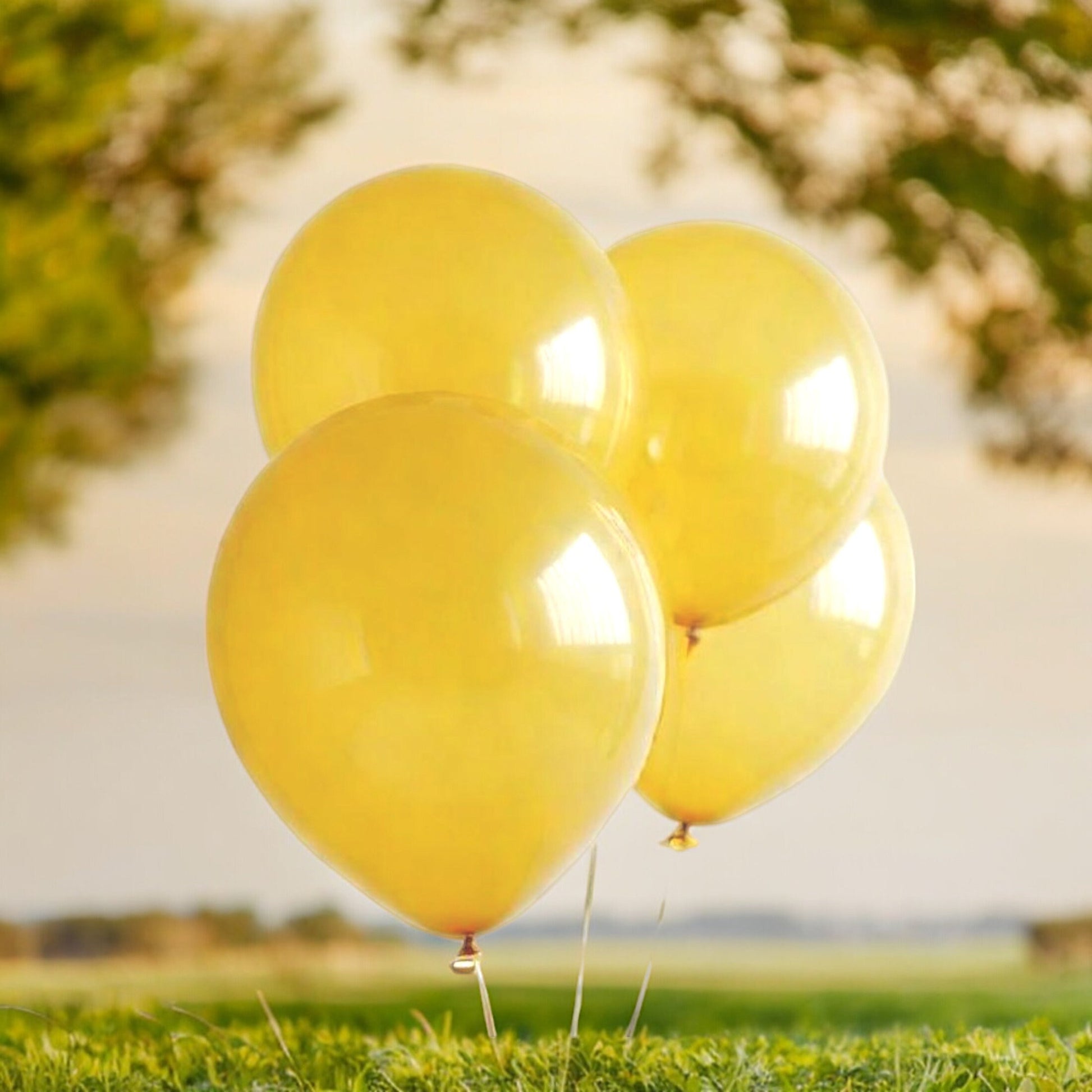 10" 100 Yellow Balloons Wedding Fiesta Birthday Baby Shower Party Decoration