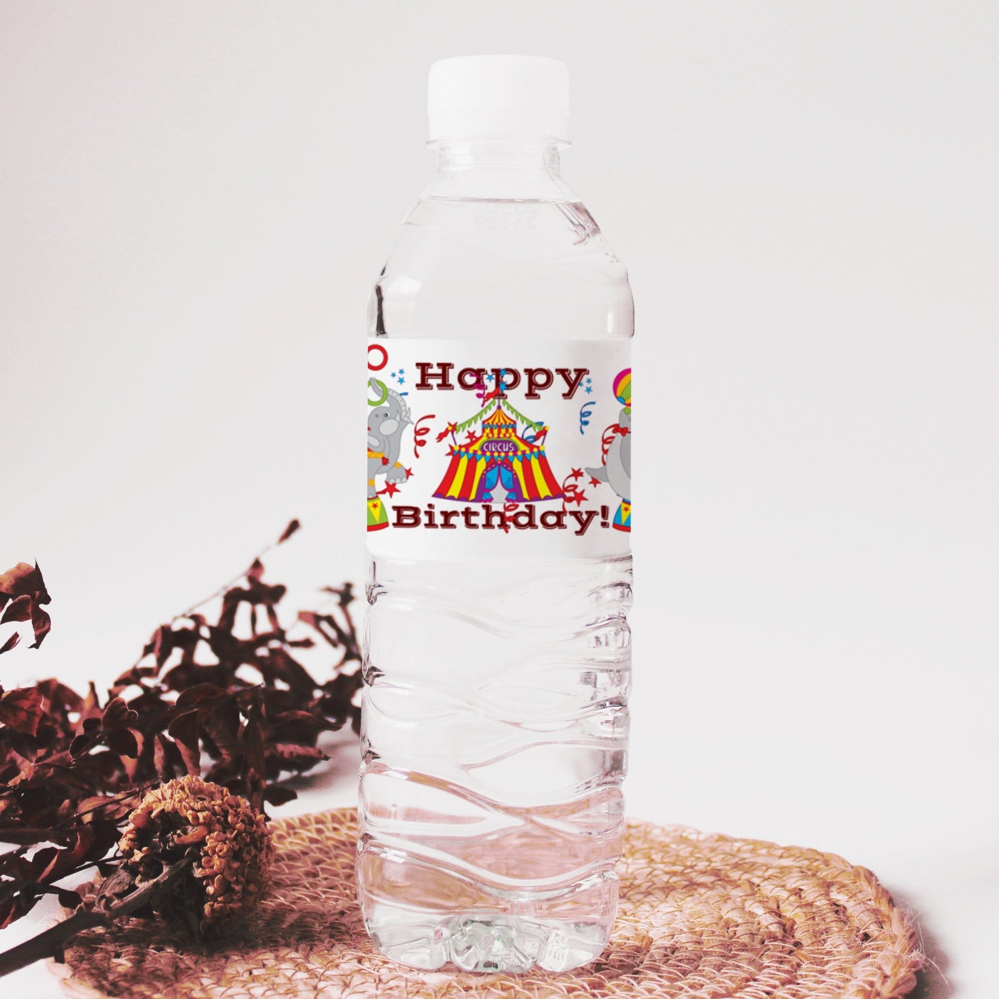Digital Circus Birthday Water Bottle Labels Party Favor Stickers Downloadable -circus-circus birthday