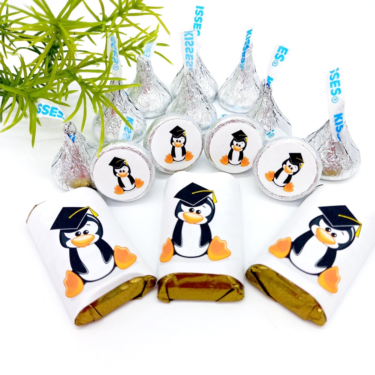 Penguin Graduate Party Favor Candy Labels Stickers -candy labels-Penguin Graduate Labels