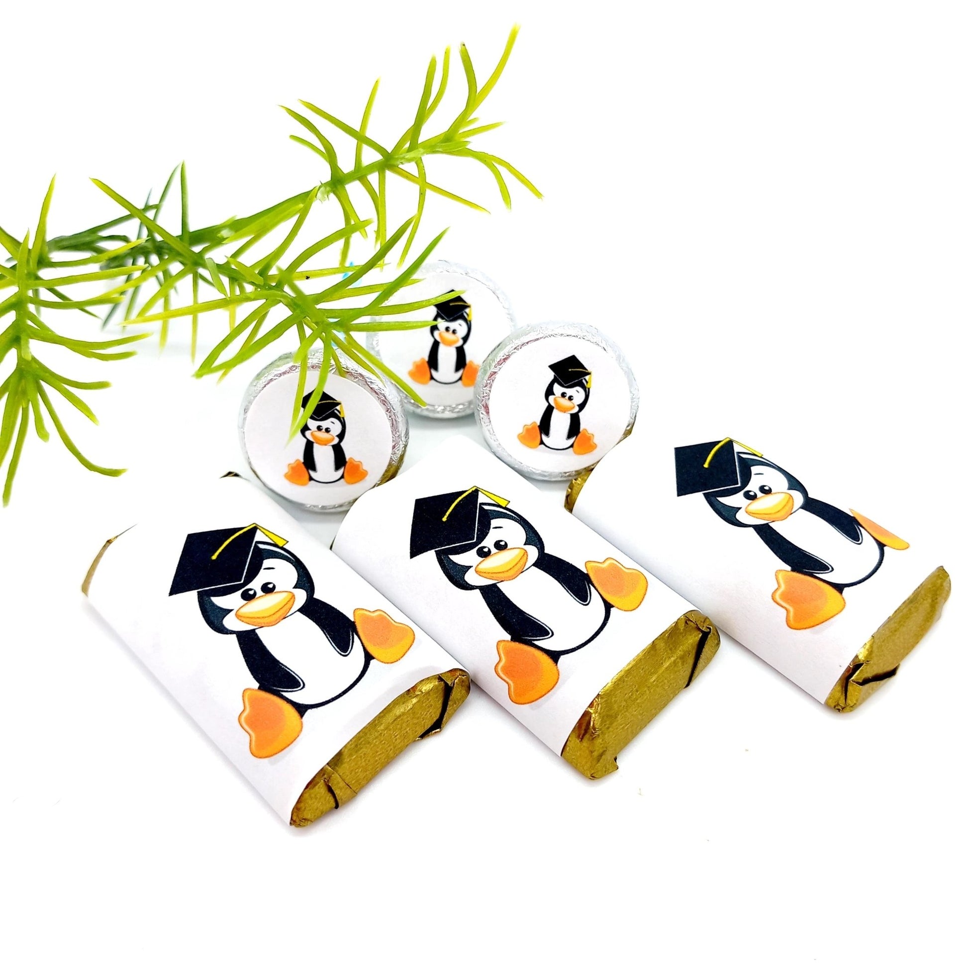 Penguin Graduate Party Favor Candy Labels Stickers -candy labels-Penguin Graduate Labels