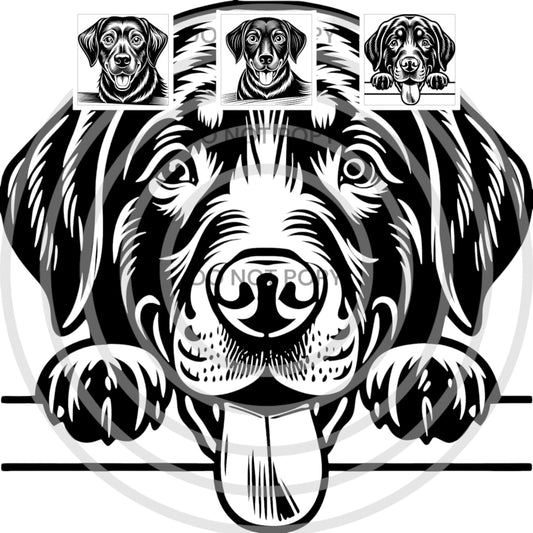 3 Unique Labrador Retriever SVG Vectors Digital