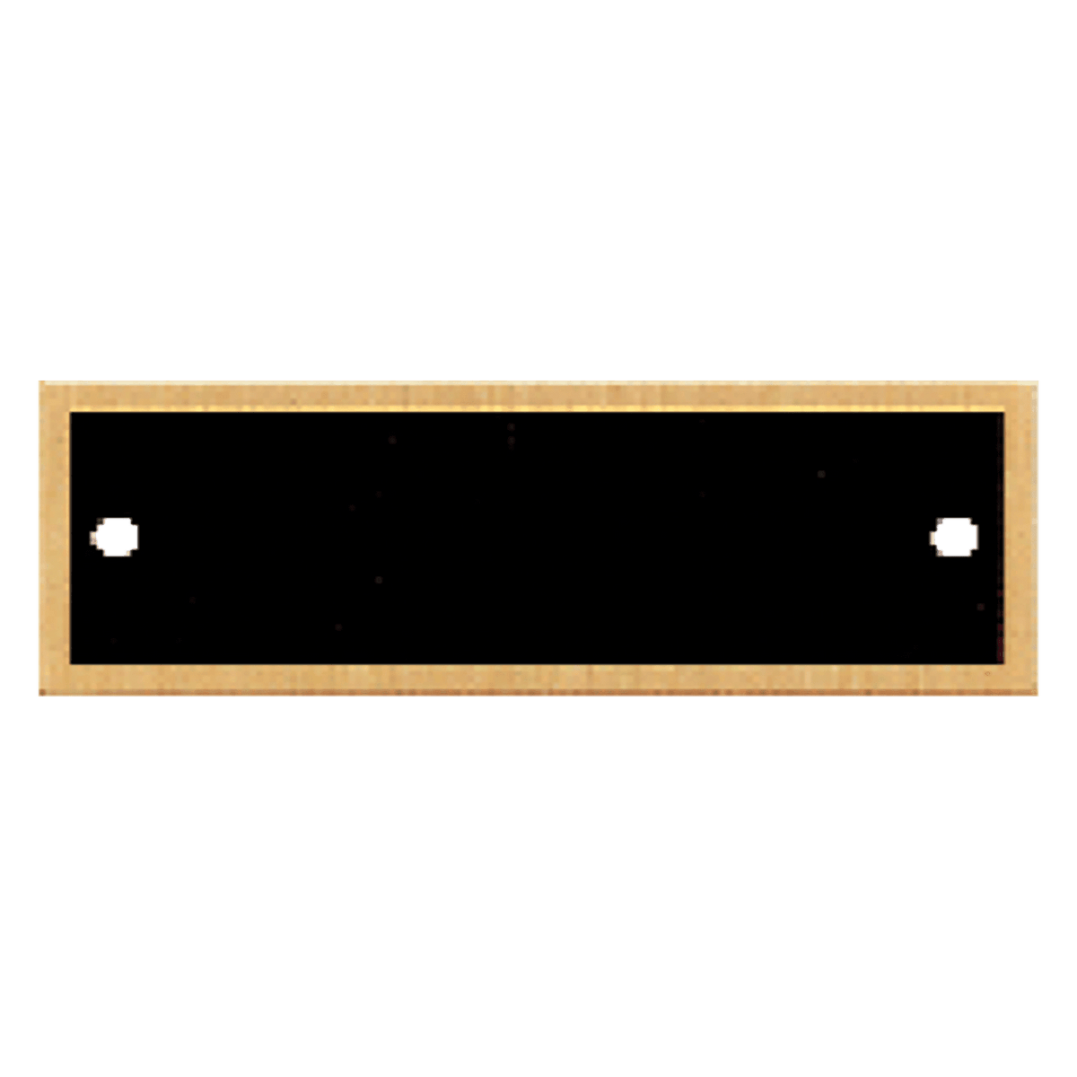 1" x 3 1/4" Black Plate with Gold Border and Two Holes, custom laser engraved